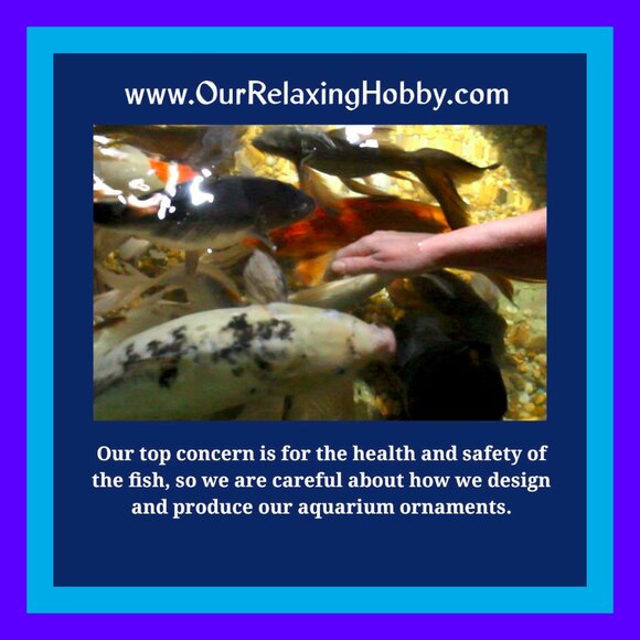 MEET THE FISHY CLOSET! - Picture 7 of 10